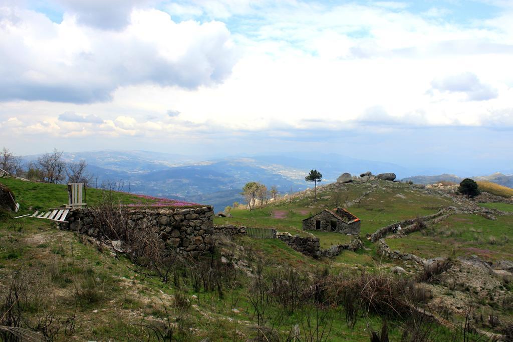 Douro Senses - Nature House ซินเฟยส์ ห้อง รูปภาพ