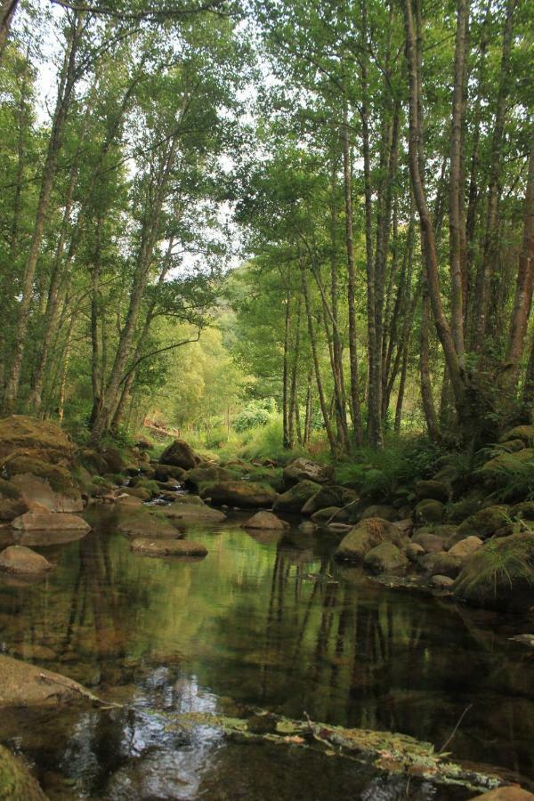 Douro Senses - Nature House ซินเฟยส์ ภายนอก รูปภาพ